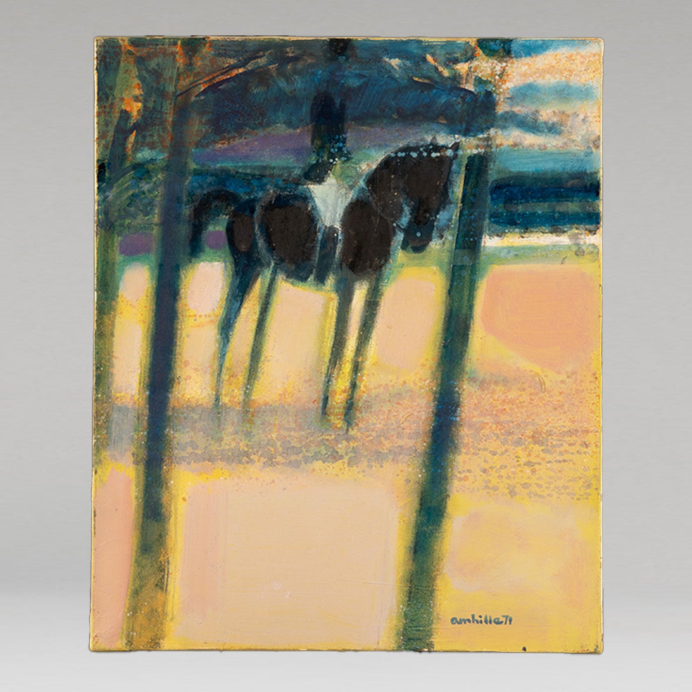 保羅·安比勒 (Paul AMBILLE)(法國,1930 年-)