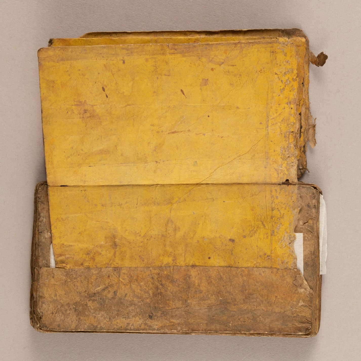 Sanskrit manuscripts