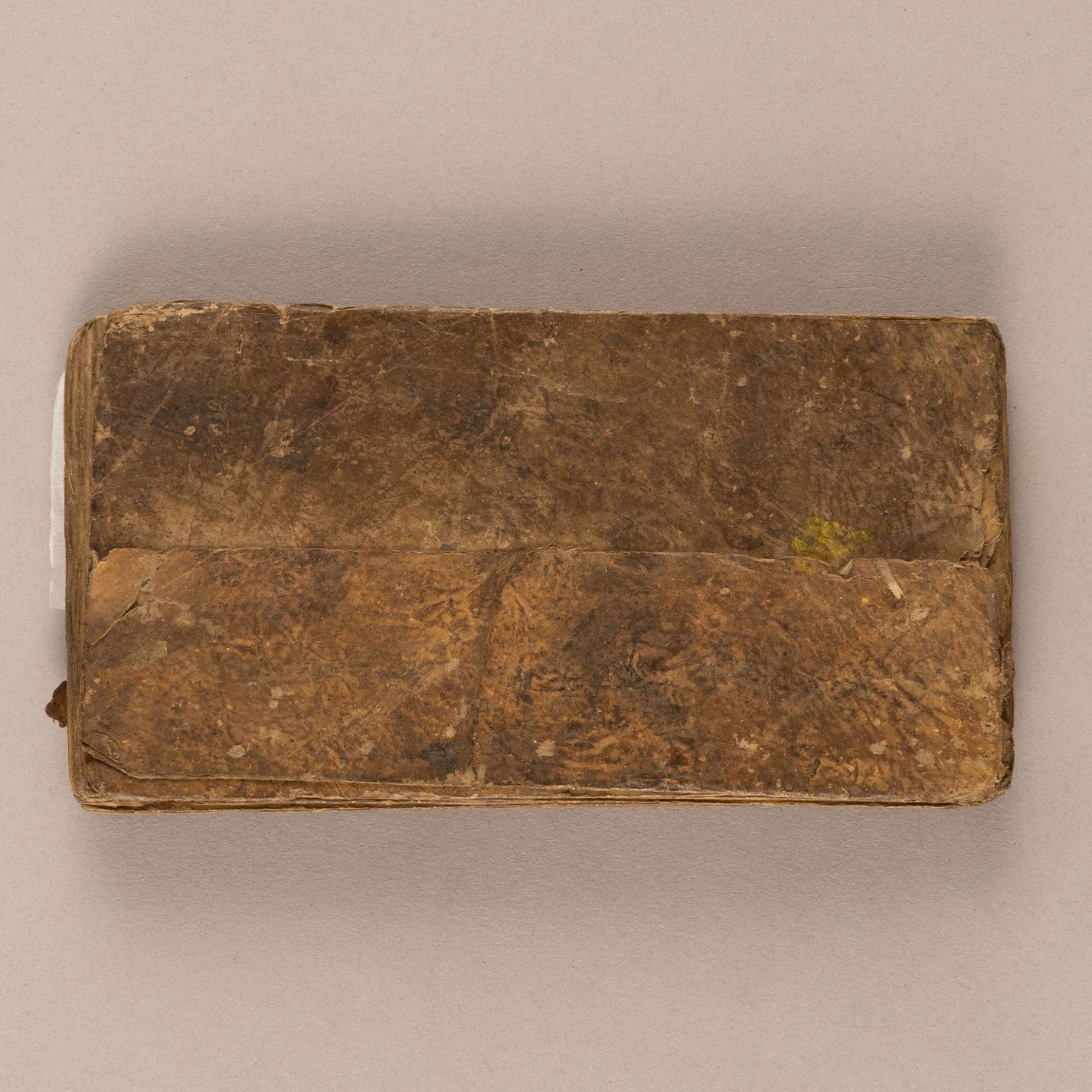 Sanskrit manuscripts