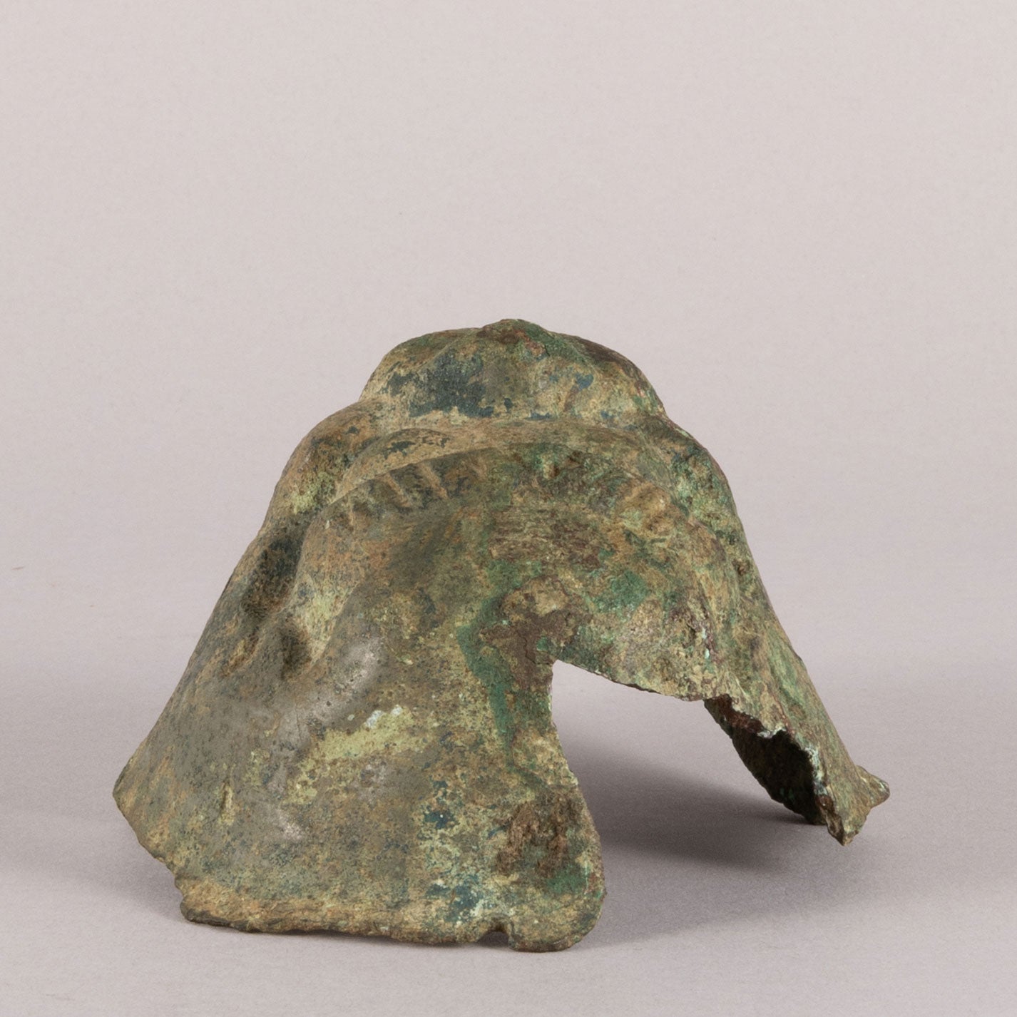 Animal type ornament