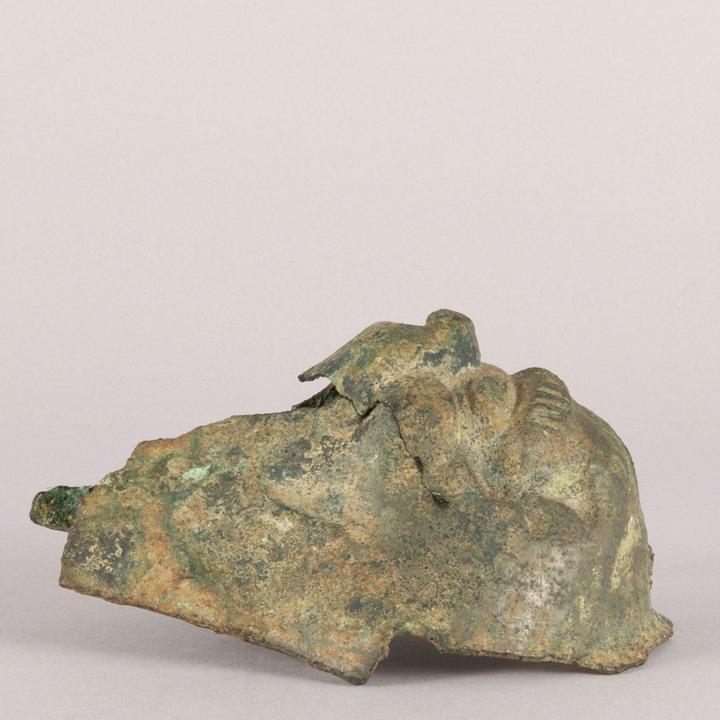Animal type ornament