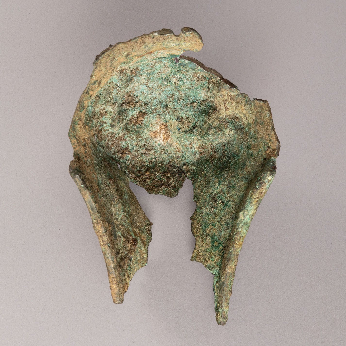 Animal type ornament