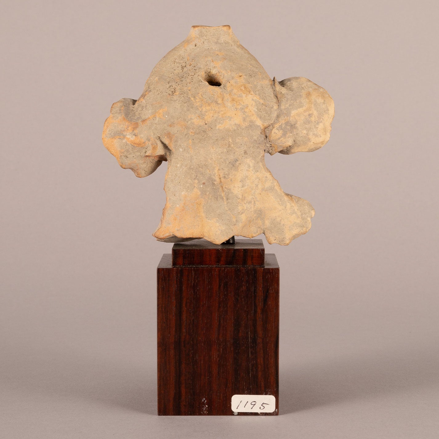 Italy "Terracotta Male head figure"