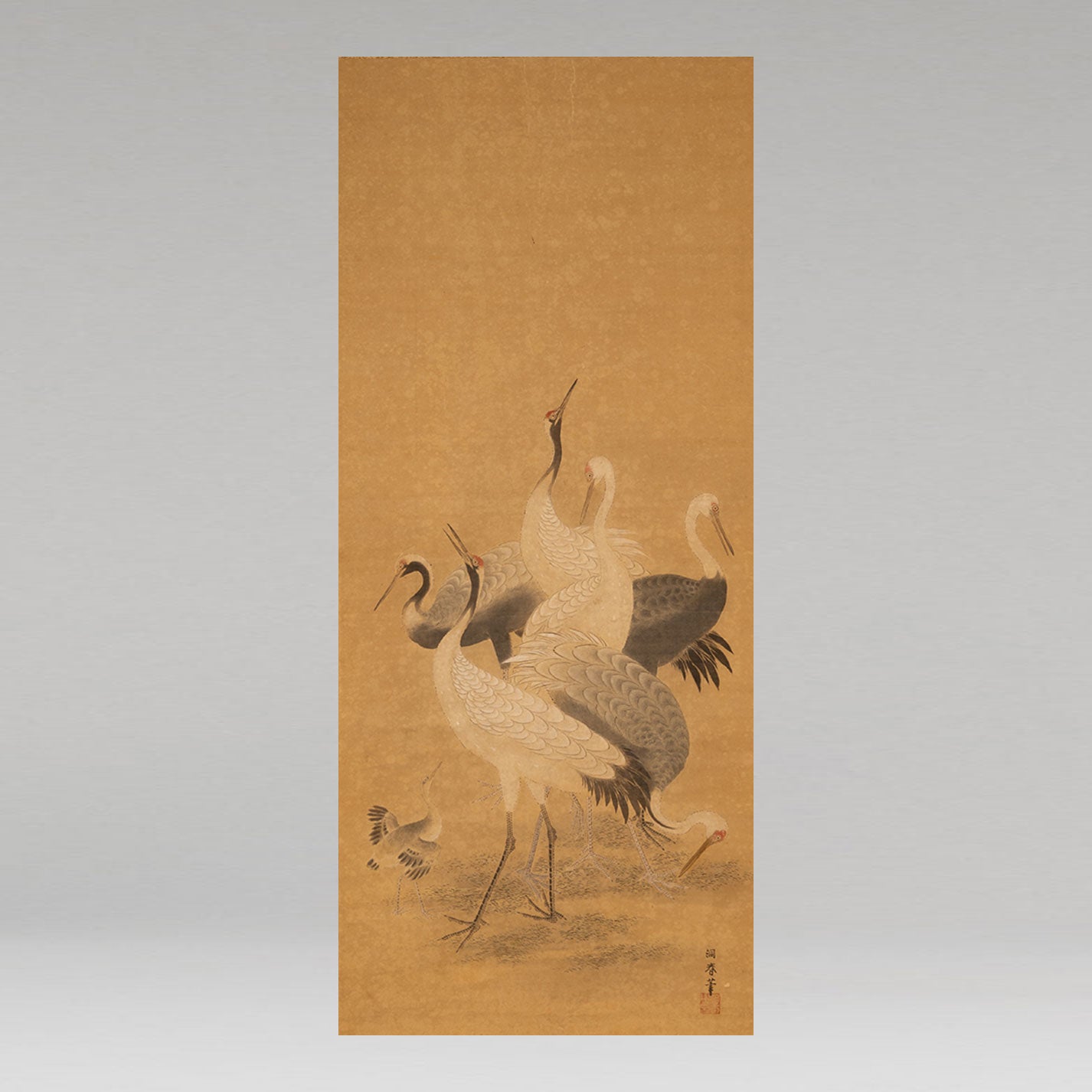 狩野美信 ( 1747 - 1797 号:洞春 )