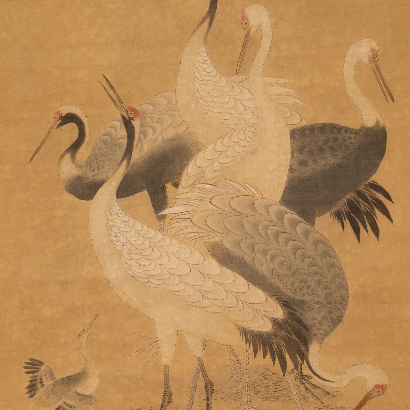 狩野美信 ( 1747 - 1797 号:洞春 )