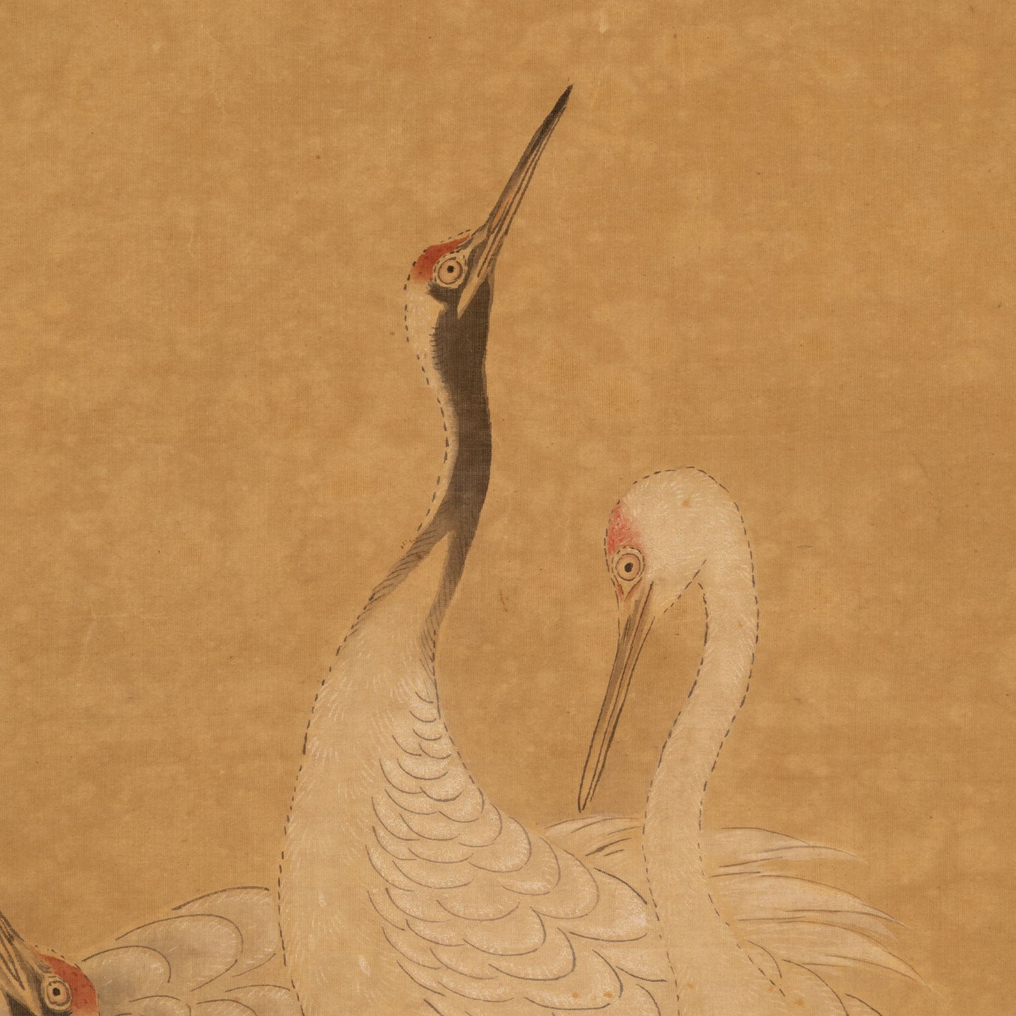 狩野美信 ( 1747 - 1797 号:洞春 )