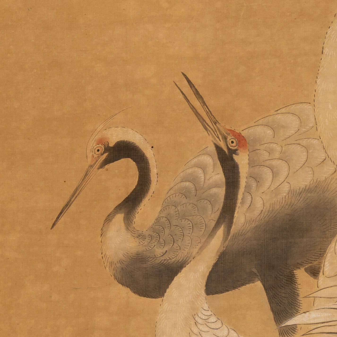 狩野美信 ( 1747 - 1797 号:洞春 )