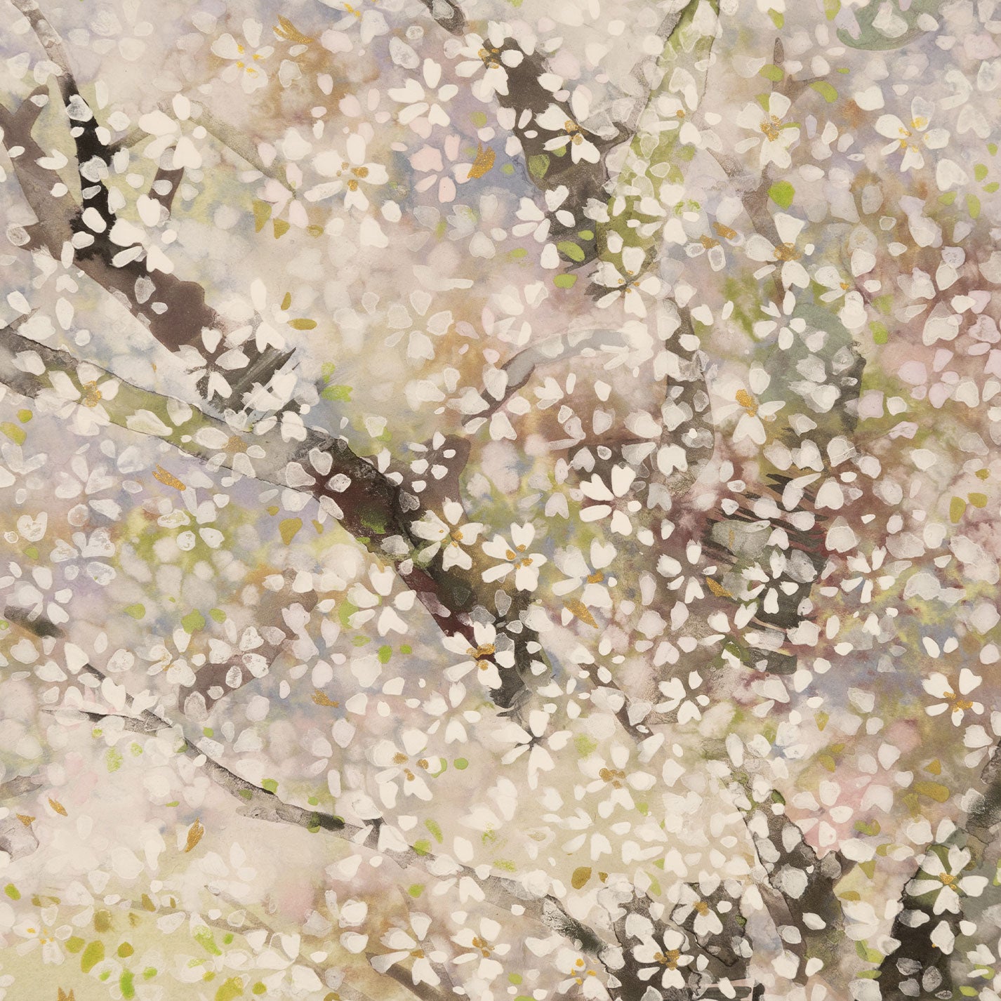 木村圭吾(京都 1944 年 - )