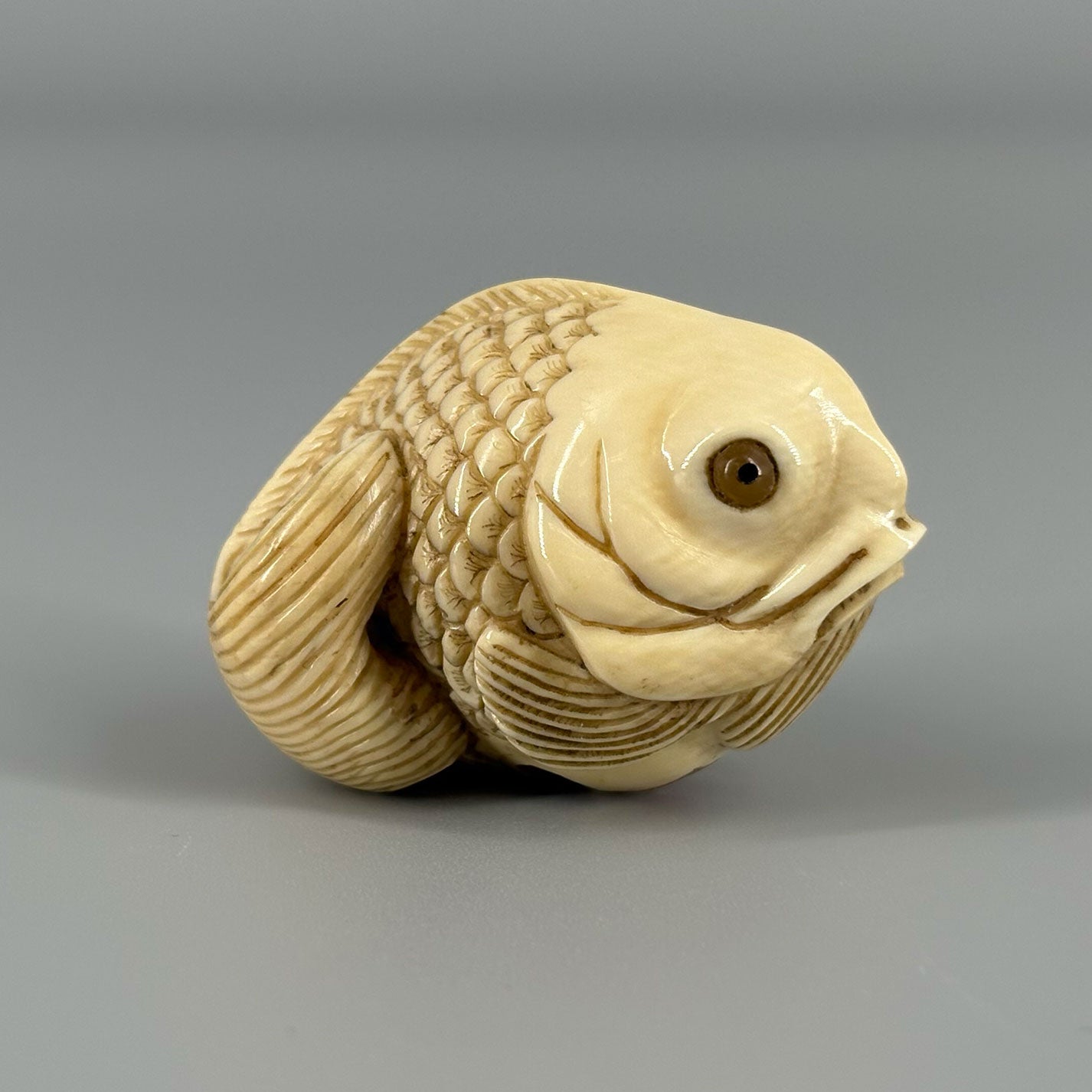 象牙根付魚