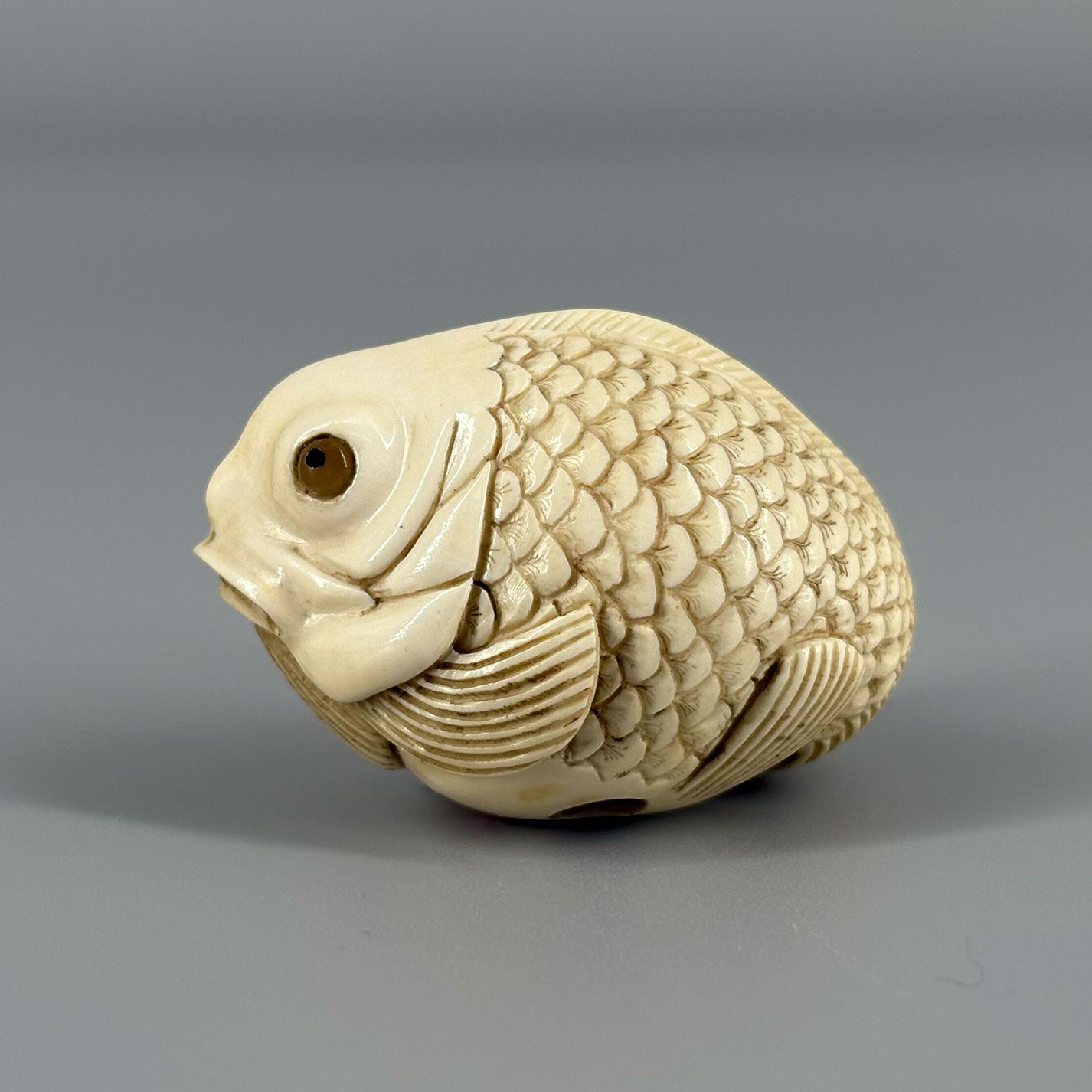 象牙根付魚