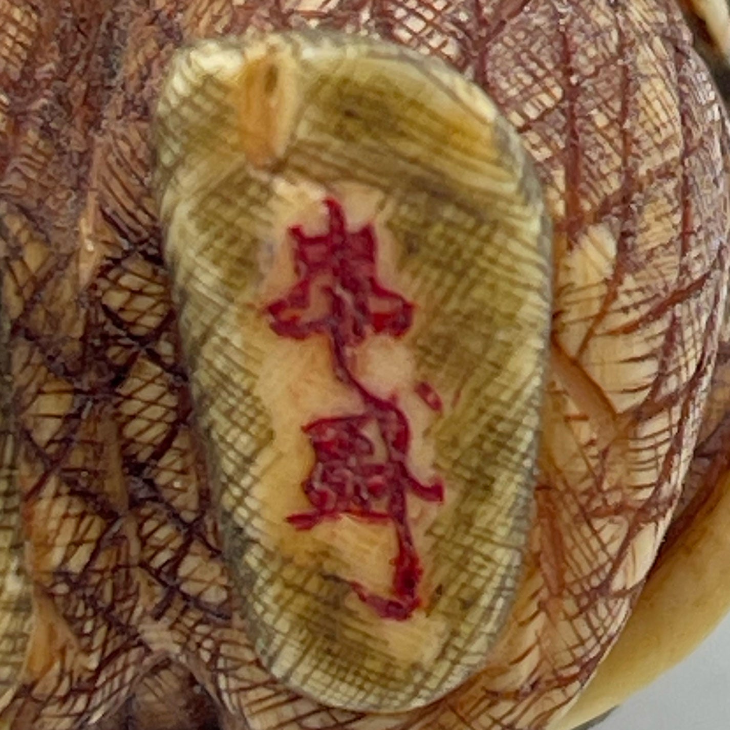Ivory Netsuke Performer