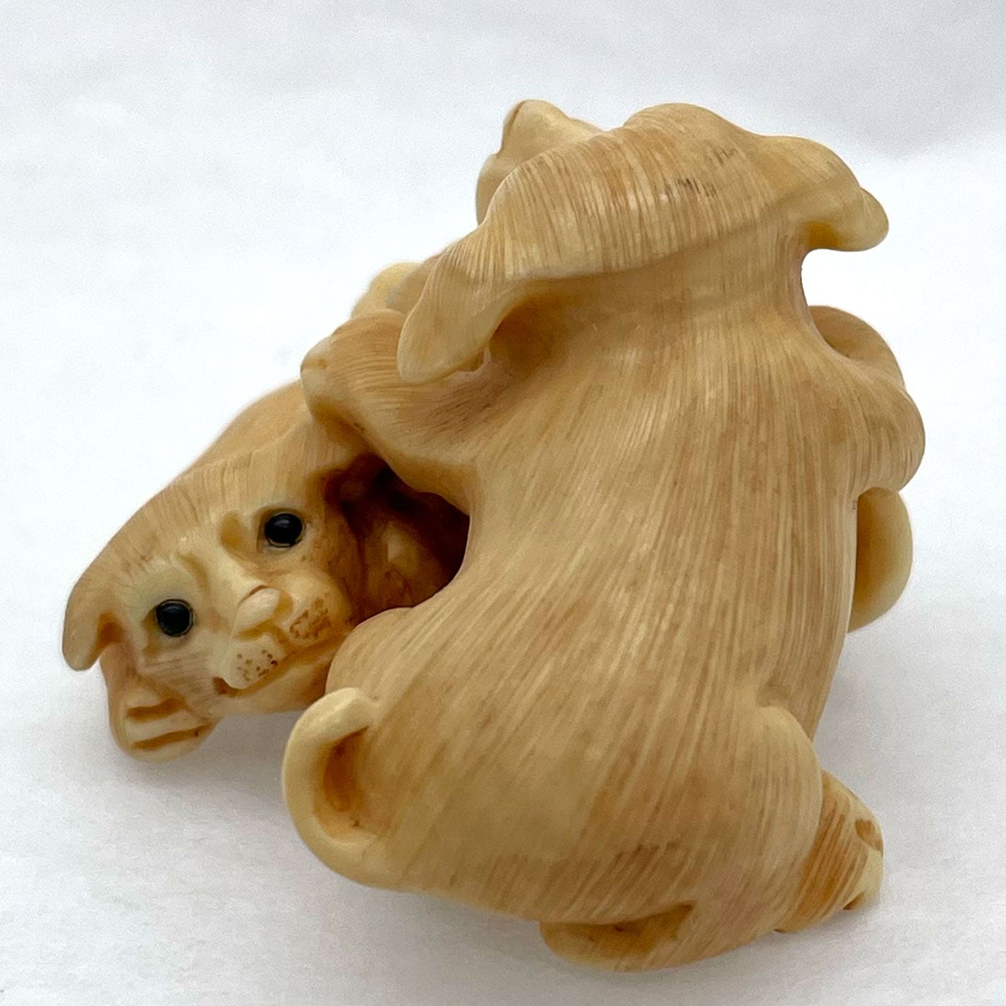 象牙根雕 犬