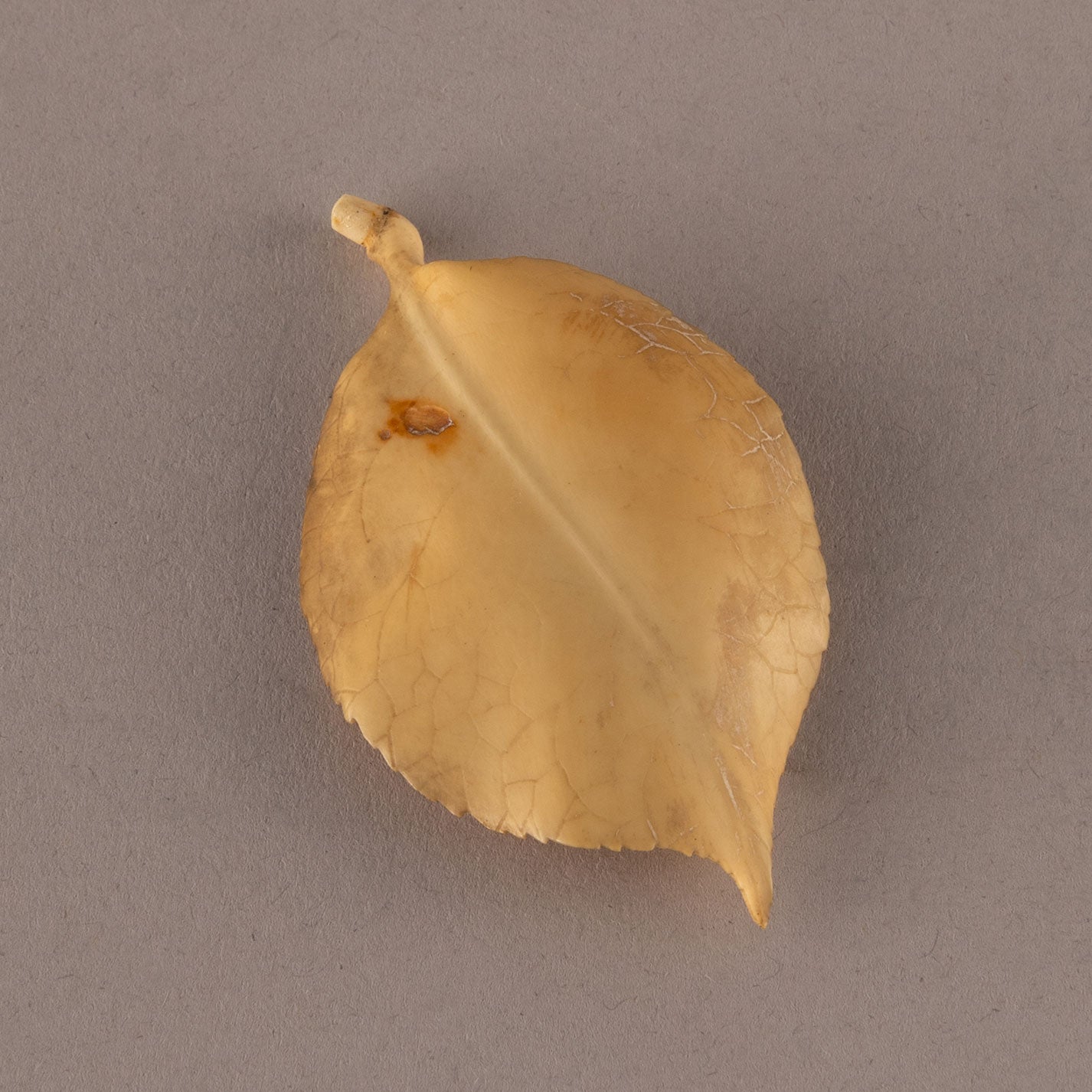 象牙山茶花上的雙鳥裝飾品