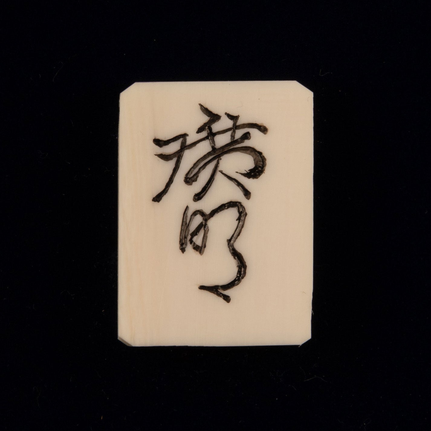 桜井廣明 (東京 1935 - )