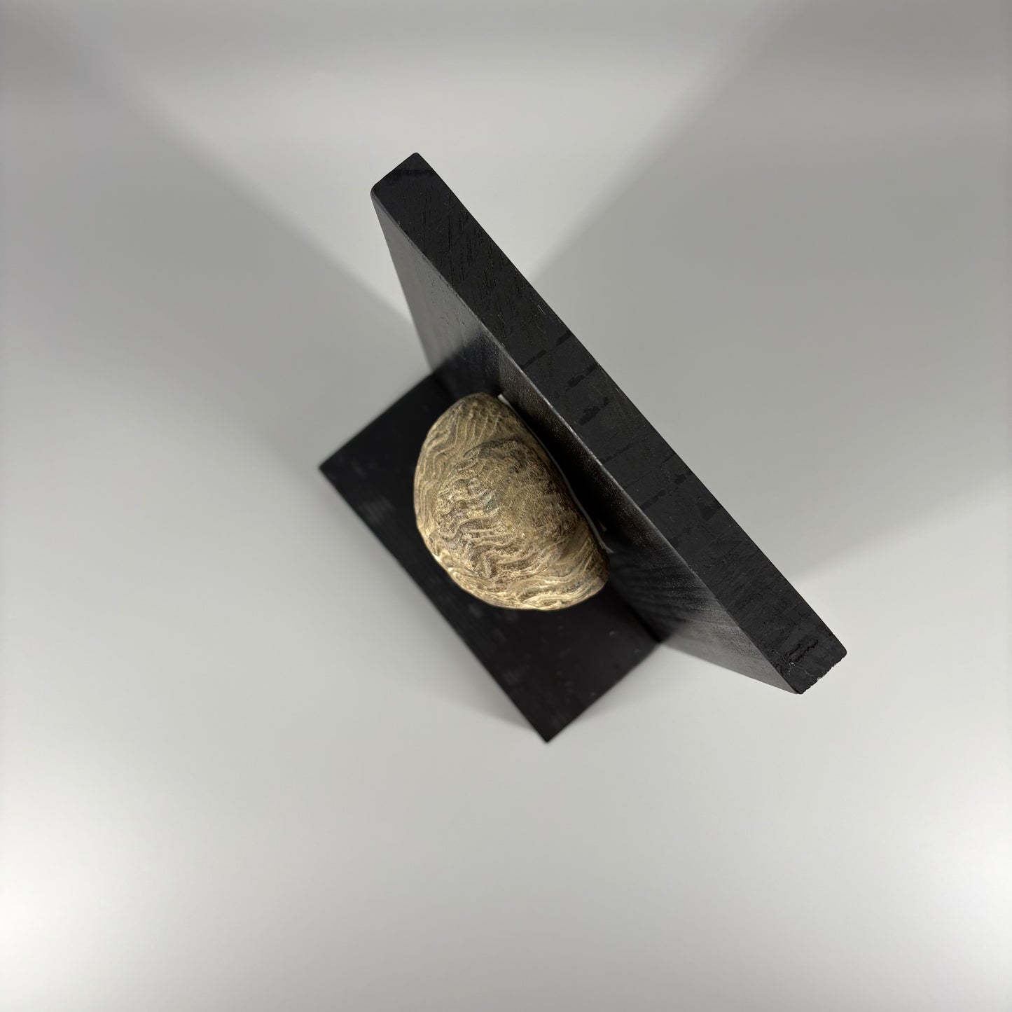 Gandhara "Stonehead"