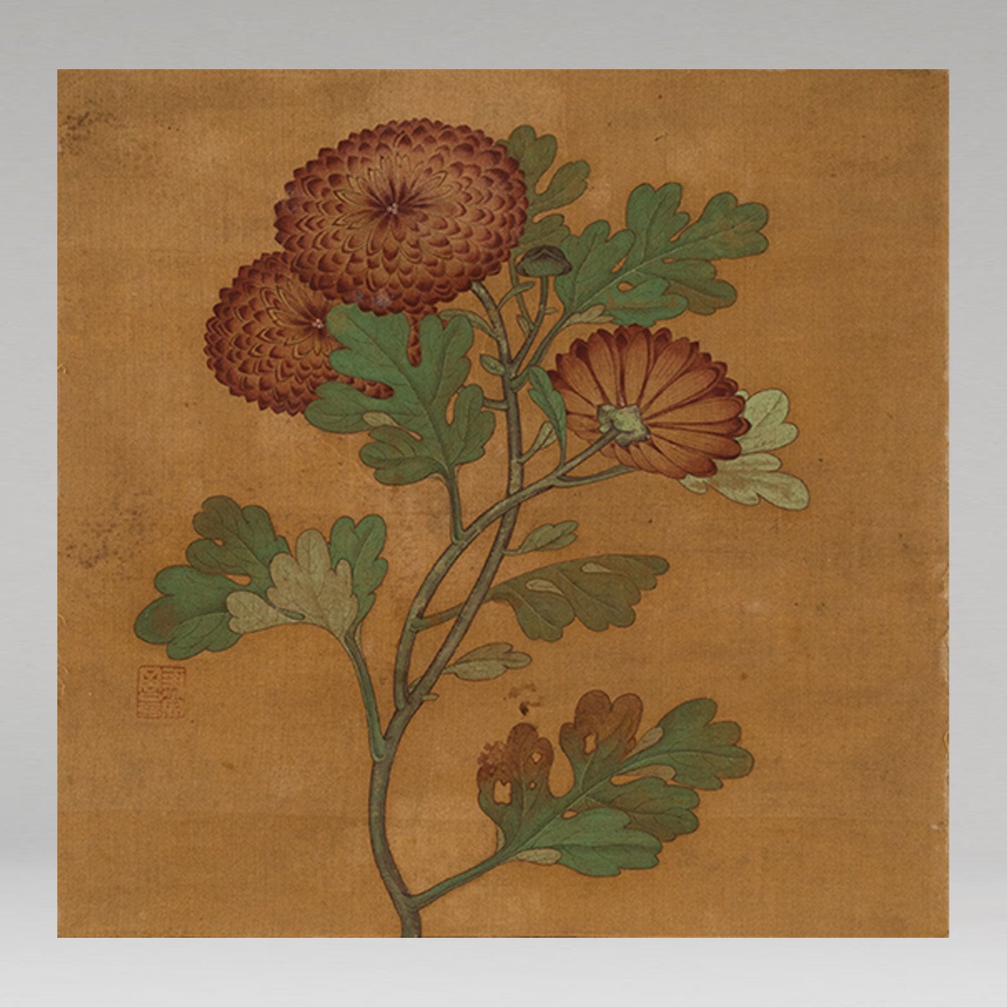 (伝)銭選 ( Qian Xuan 1239-1299 )