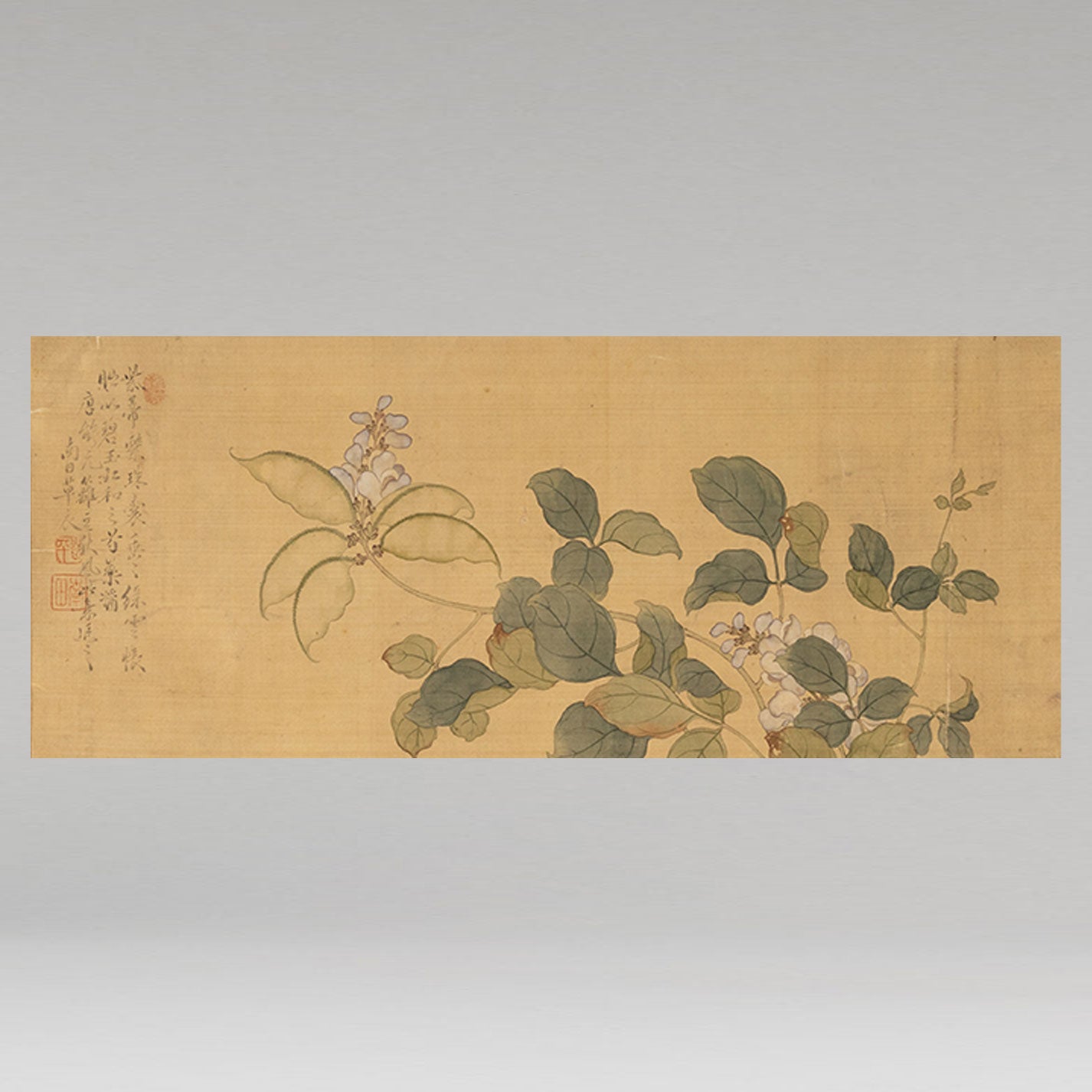 惲壽平( 1633 - 1690 )