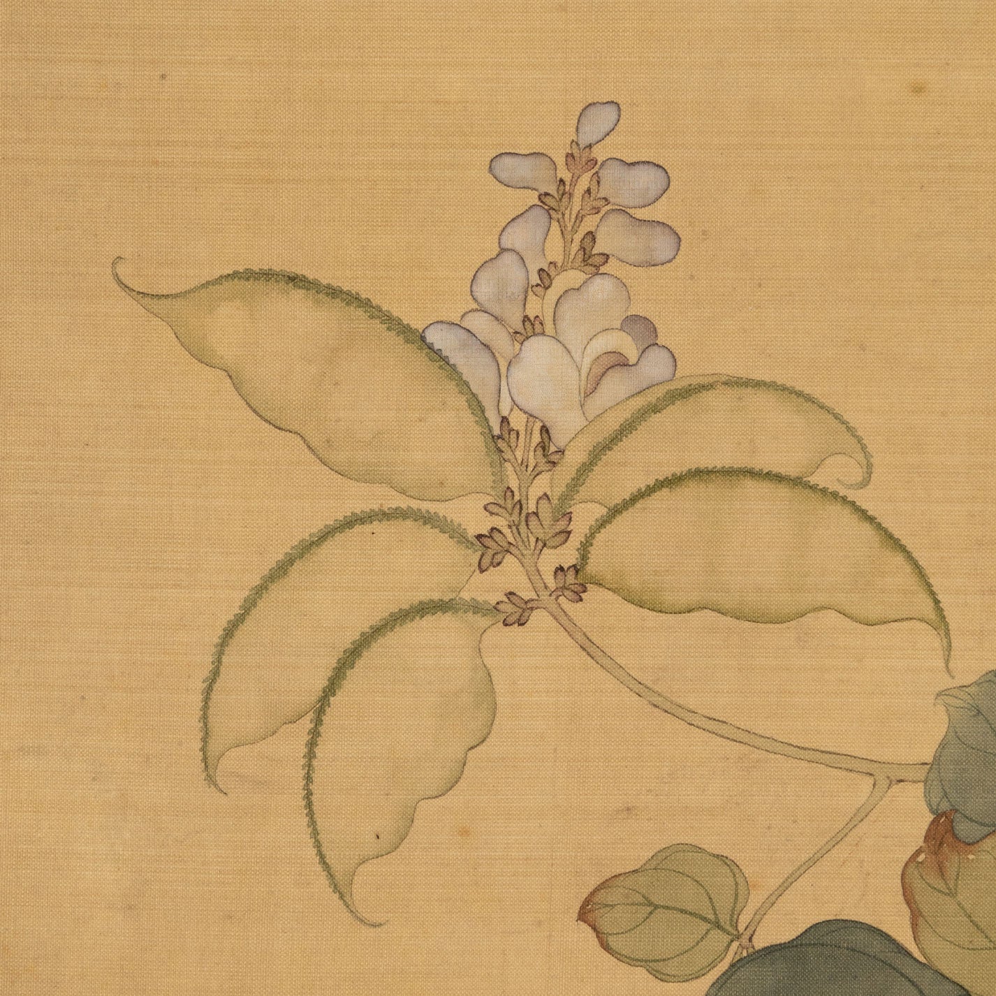 惲壽平( 1633 - 1690 )