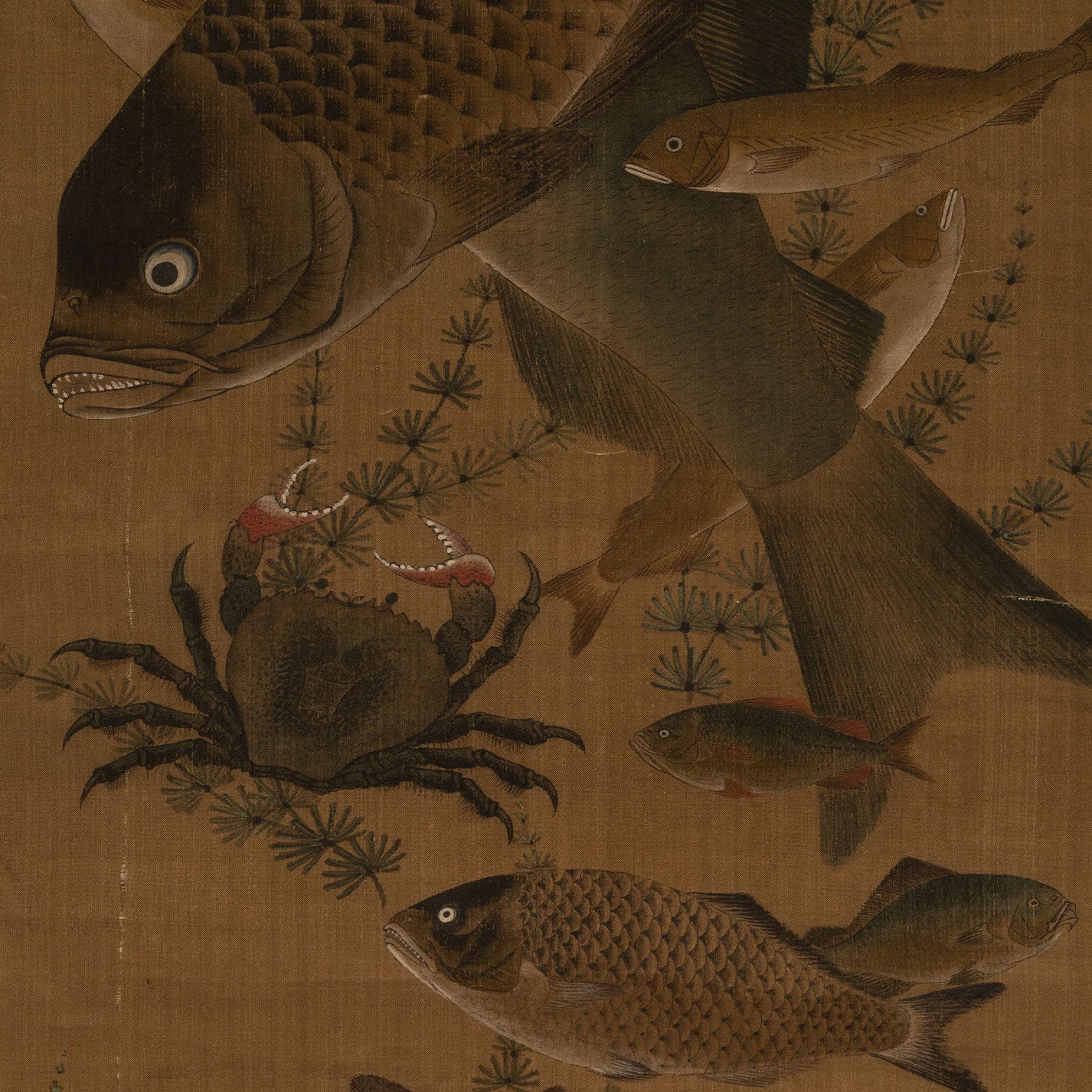沈銓(沈南蘋 1682 -)