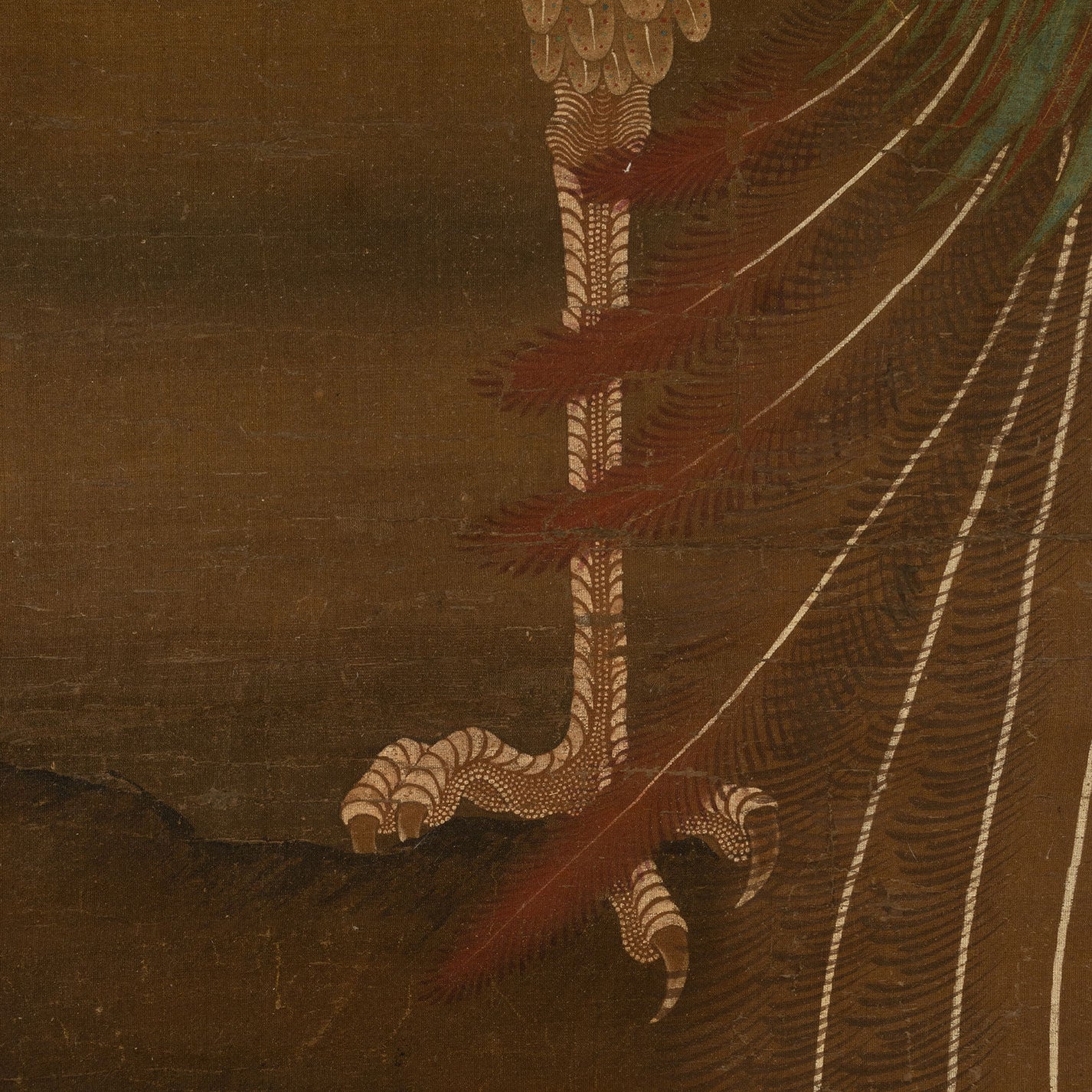 佚 名 "鳳凰圖"