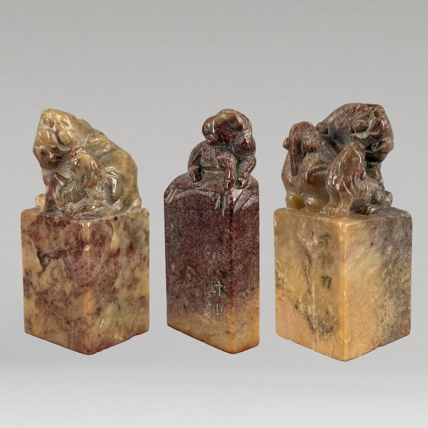 Seal material 3 pieces Lion