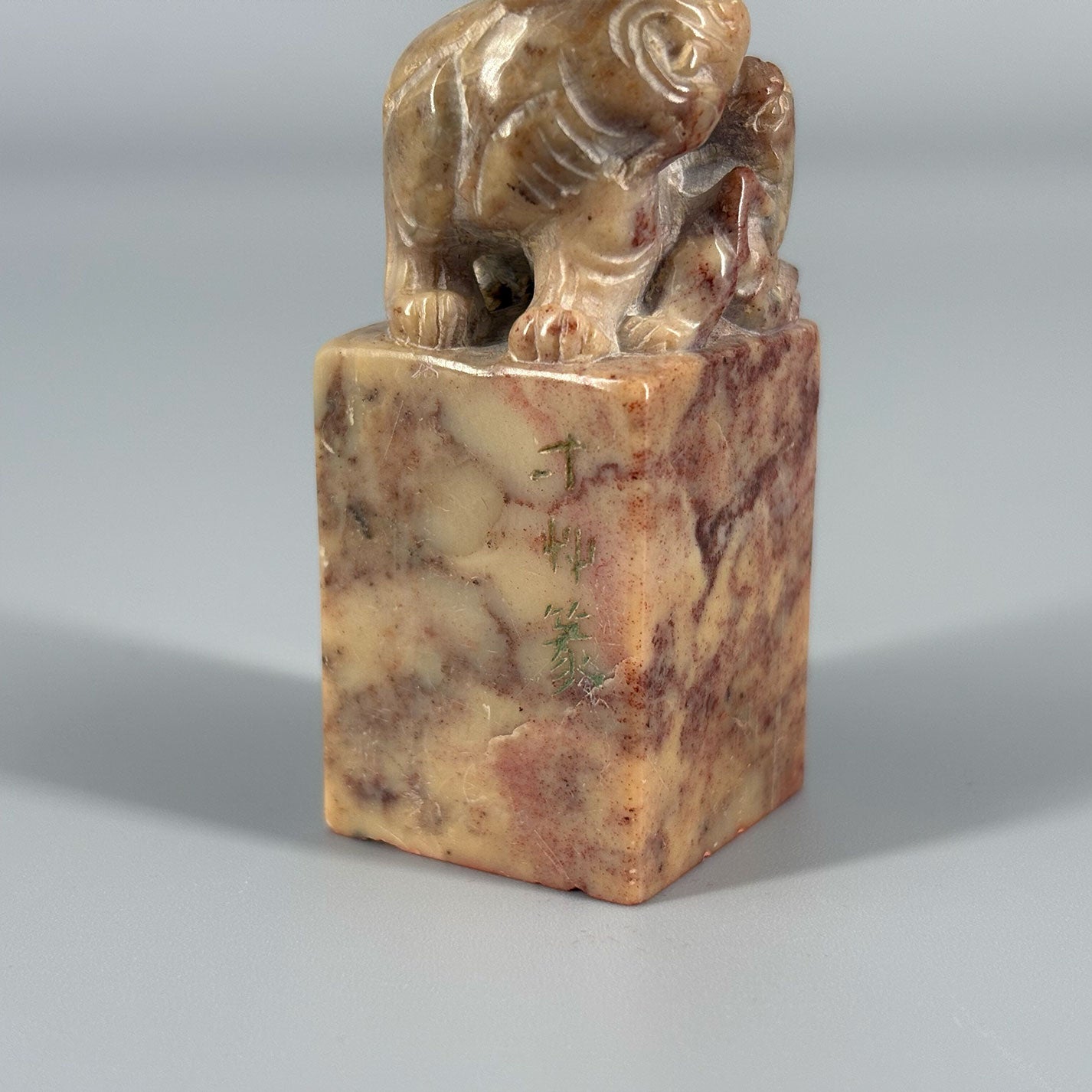 Seal material 3 pieces Lion