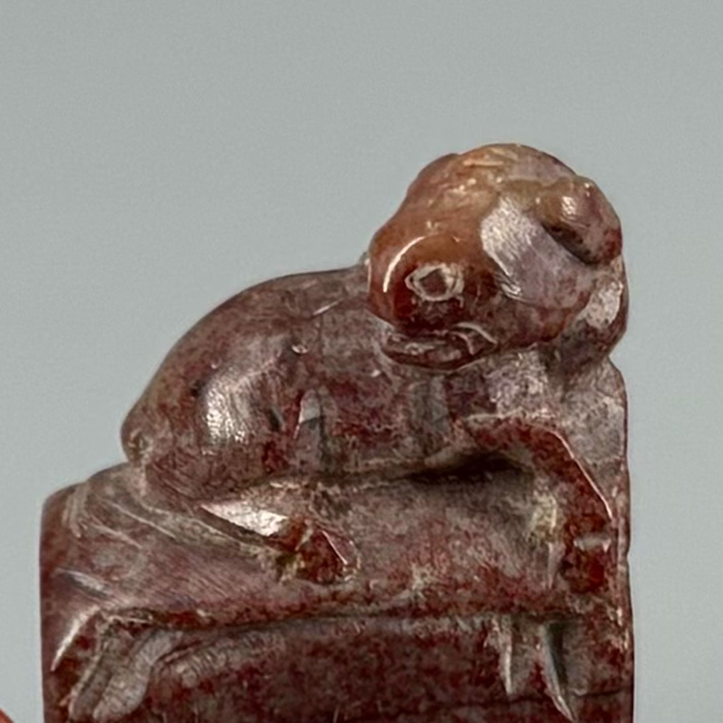 Seal material 3 pieces Lion