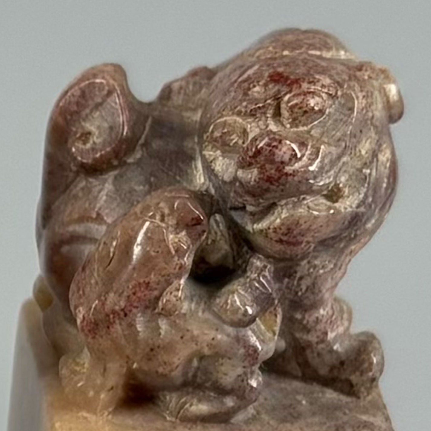 Seal material 3 pieces Lion