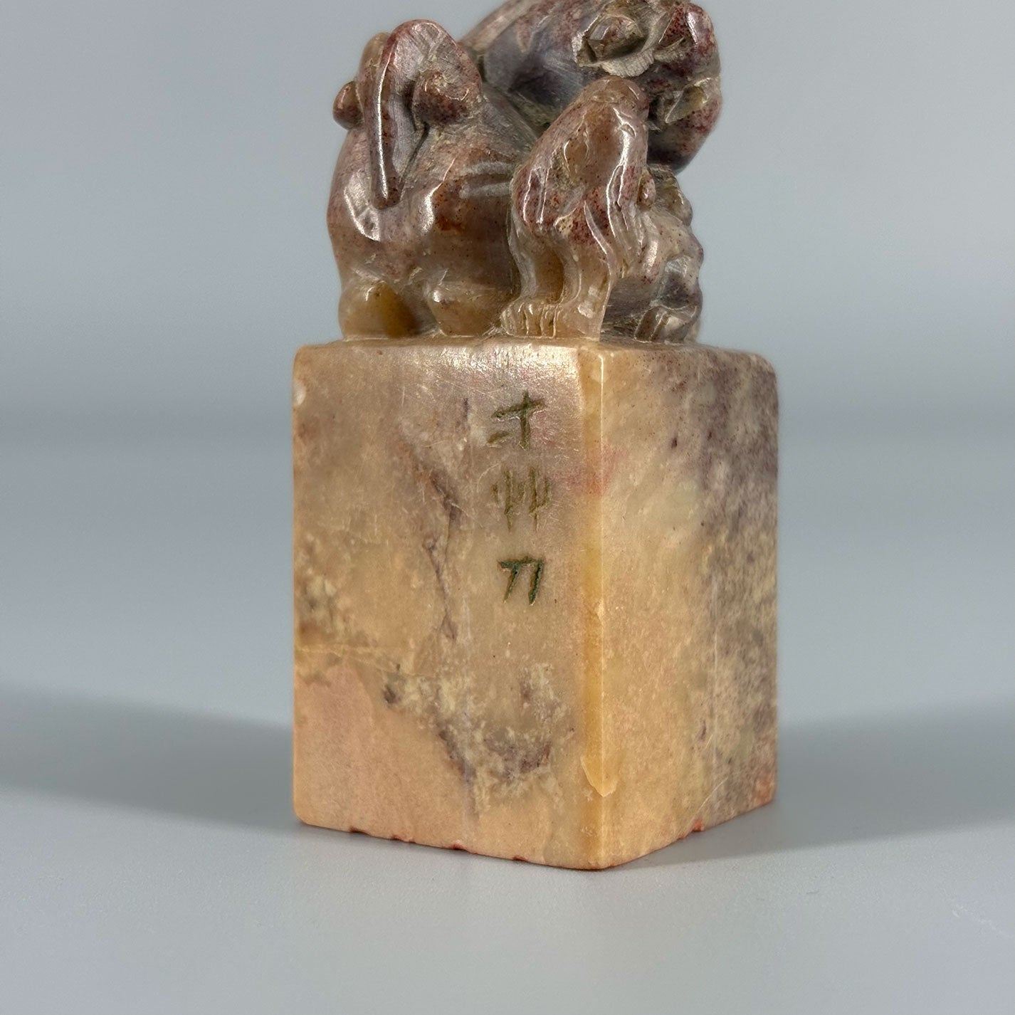 Seal material 3 pieces Lion