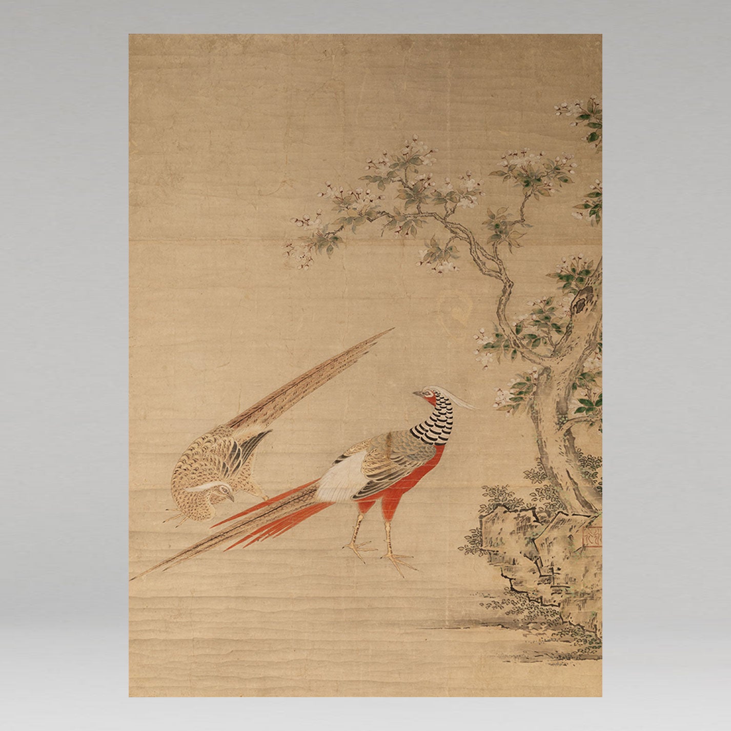 木村永光 ( 生没年不詳 安土桃山時代 )