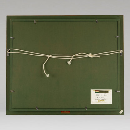 安塔爾·揚切克 (Antal JANCSEK)（匈牙利人，1907 年-）