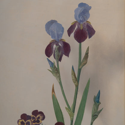 Istvan MACSAI ( Hungarian 1922 - 2005 ) / Iris