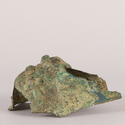 Animal type ornament