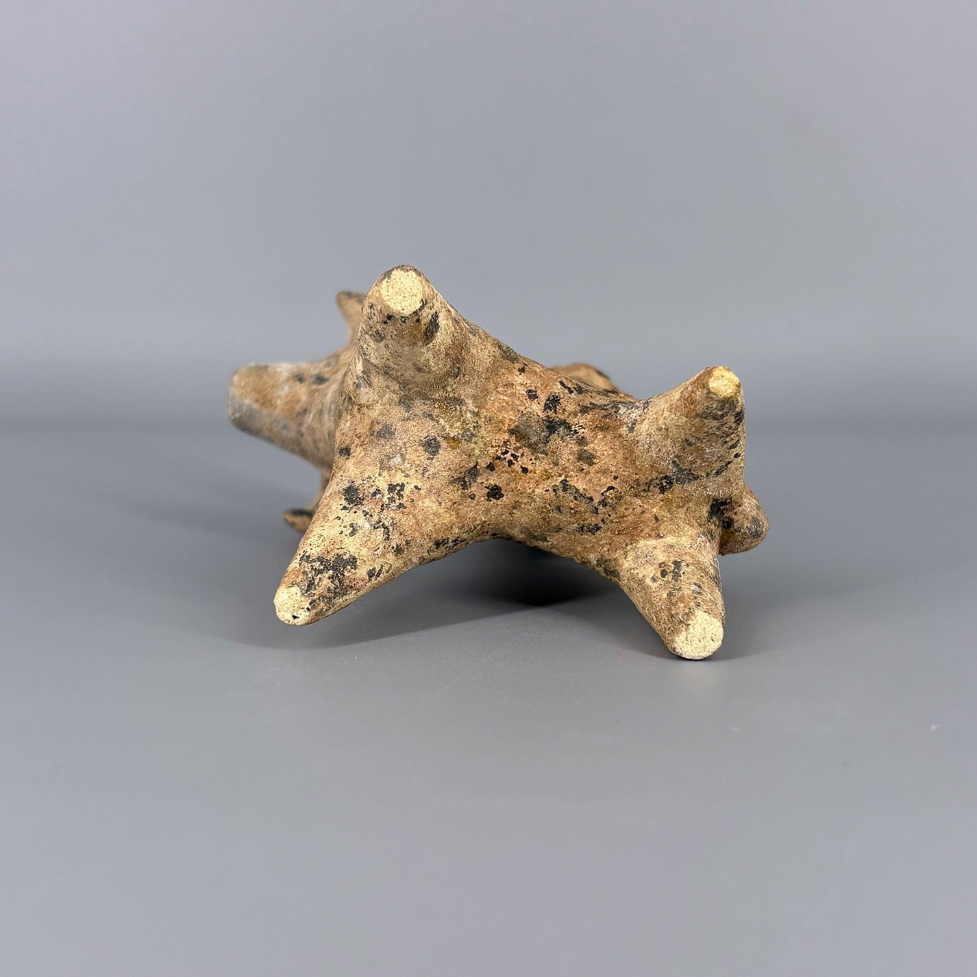 Figure of Sheep