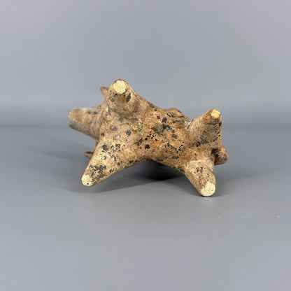 Figure of Sheep