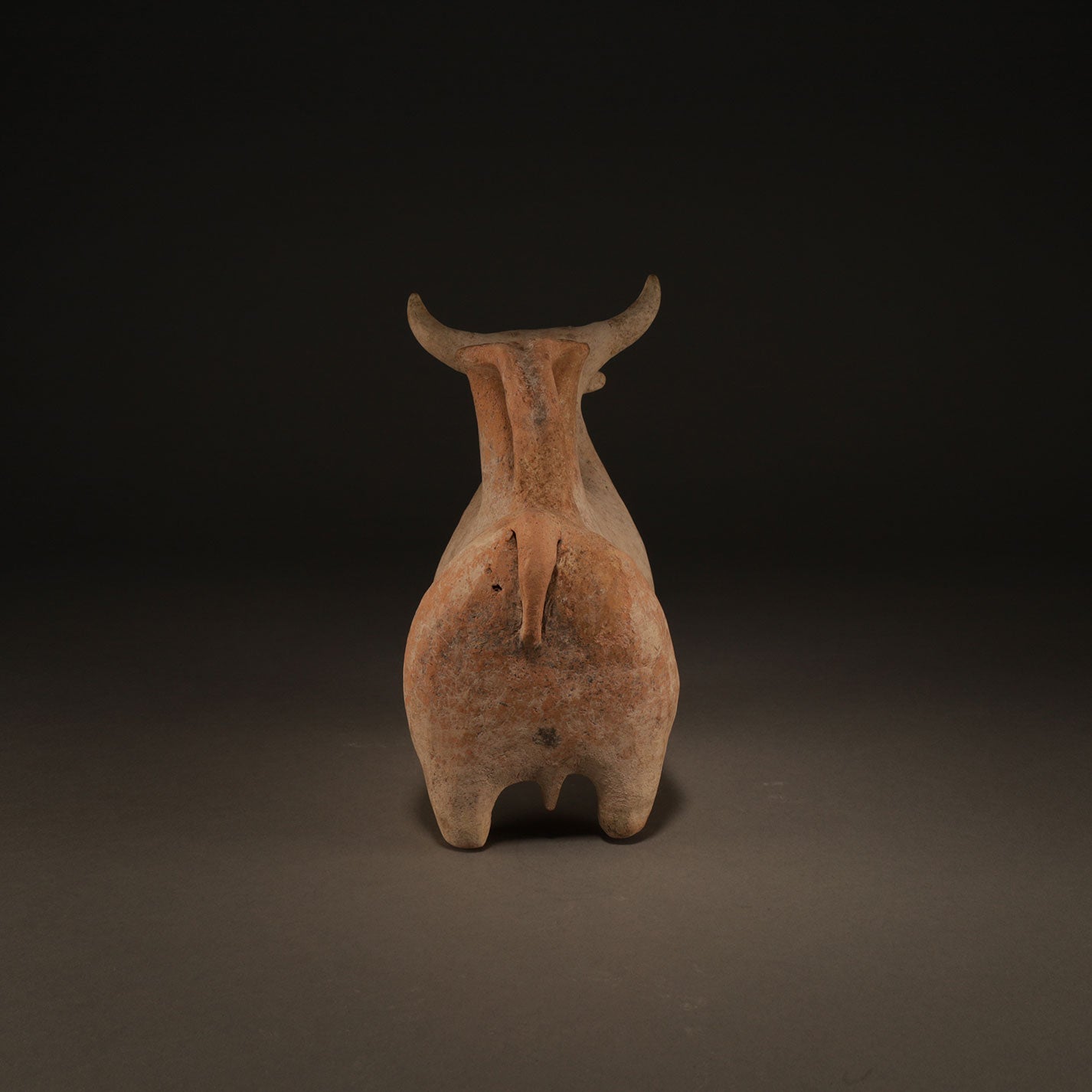 Cattle shaped pitcher