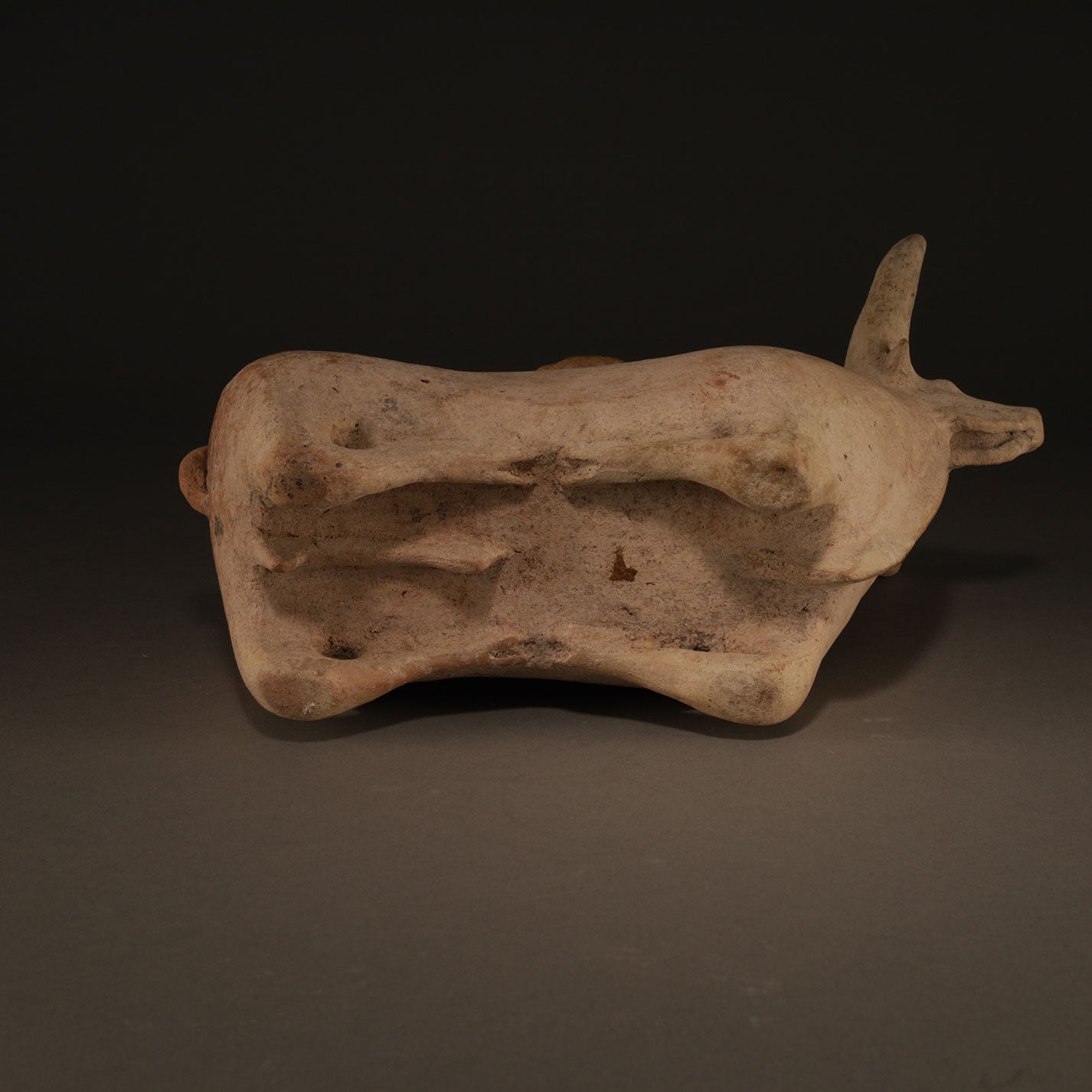 Cattle shaped pitcher