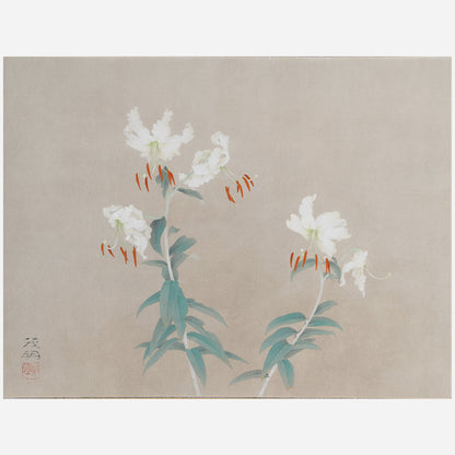[K0180] Shigeaki Kuromitsu (Kyoto, 1946-) / White Kanoko Lily