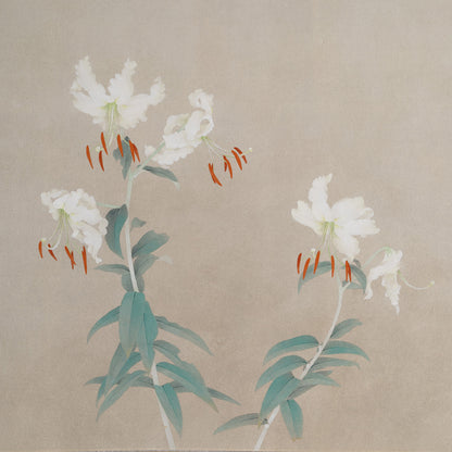 [K0180] Shigeaki Kuromitsu (Kyoto, 1946-) / White Kanoko Lily