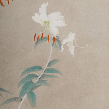 [K0180] Shigeaki Kuromitsu (Kyoto, 1946-) / White Kanoko Lily