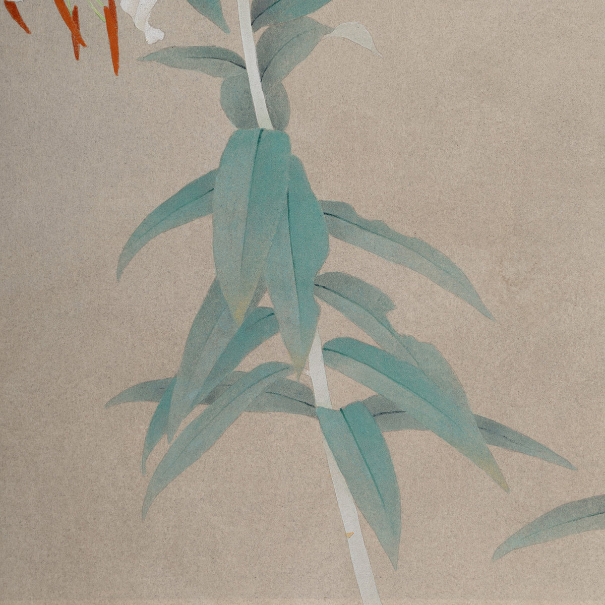 [K0180] Shigeaki Kuromitsu (Kyoto, 1946-) / White Kanoko Lily