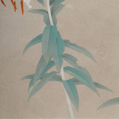 [K0180] Shigeaki Kuromitsu (Kyoto, 1946-) / White Kanoko Lily