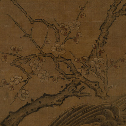 秋月等観 ( 室町中〜後期の画僧 )