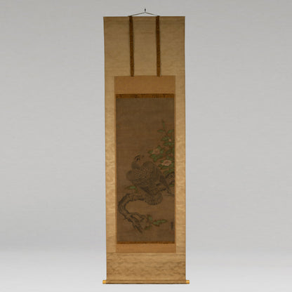 秋月等観 ( 室町中〜後期の画僧 )