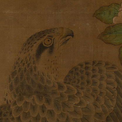 秋月等観 ( 室町中〜後期の画僧 )