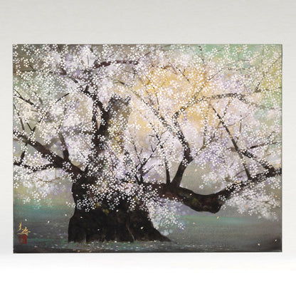 木村圭吾 (京都 1944 - ) / 神代桜 [K0224]