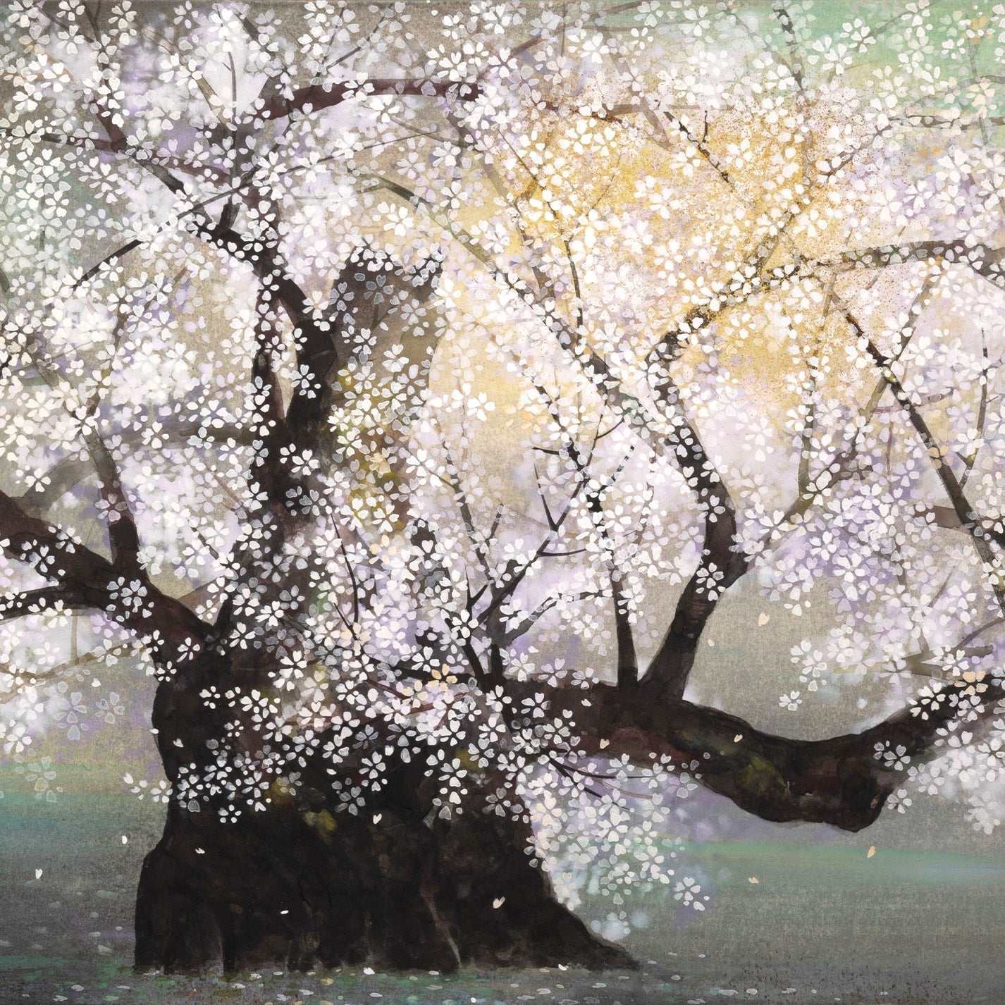 木村圭吾 (京都 1944 - ) / 神代桜 [K0224]