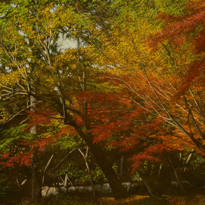 吉田伊佐（京都府 1959 年 - ）