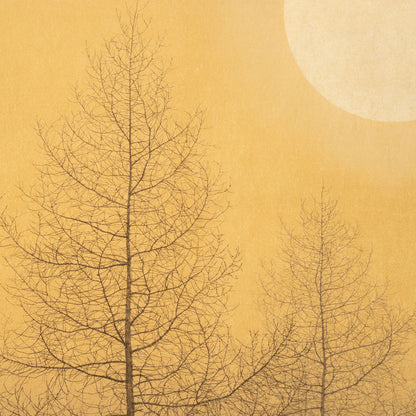 Yuji Sasaki (Hokkaido 1951 - )
