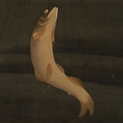 小泉斐 ( 1770 - 1854 )